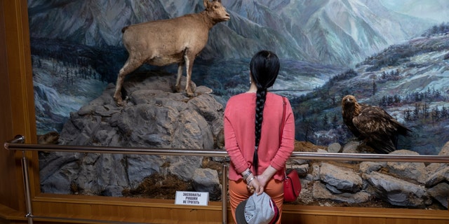 A woman looks at a diorama at the Yakutsk State Museum of History and Culture in Yakutsk, Russia on July 2, 2019. Melting permafrost is altering Siberia's landscape, including the region's largest city, Yakutsk, and altering its economy.